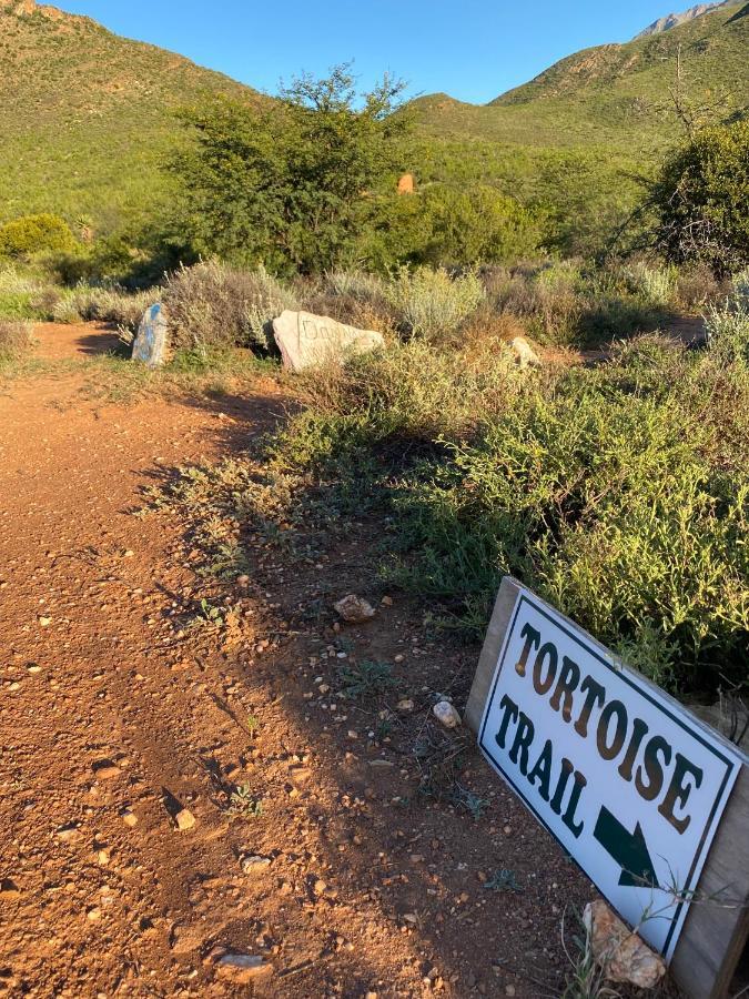 The Retreat At Groenfontein Calitzdorp Eksteriør billede