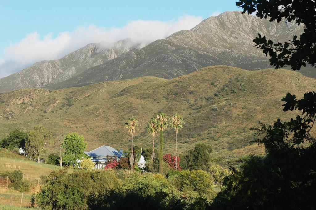 The Retreat At Groenfontein Calitzdorp Eksteriør billede