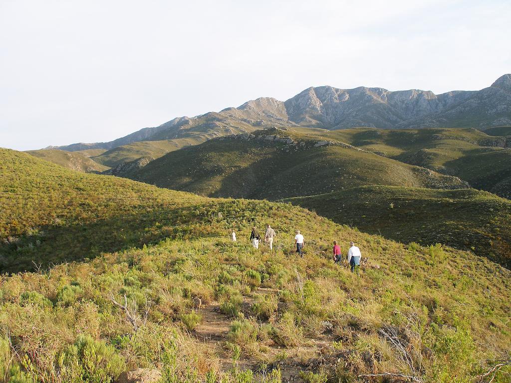 The Retreat At Groenfontein Calitzdorp Eksteriør billede